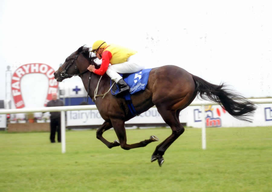 Berg Bahn Fairyhouse 30th June